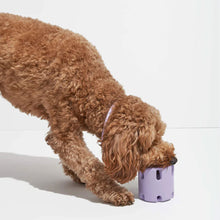 Load image into Gallery viewer, Dog Chew Tennis Tumble Puzzle Toy

