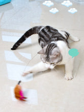 Load image into Gallery viewer, Funny Cat Toy
