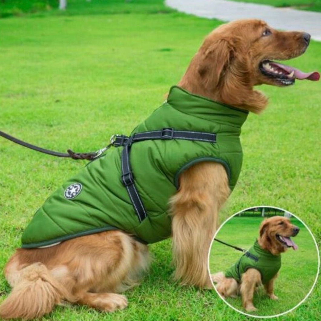 Winter Dog Jacket